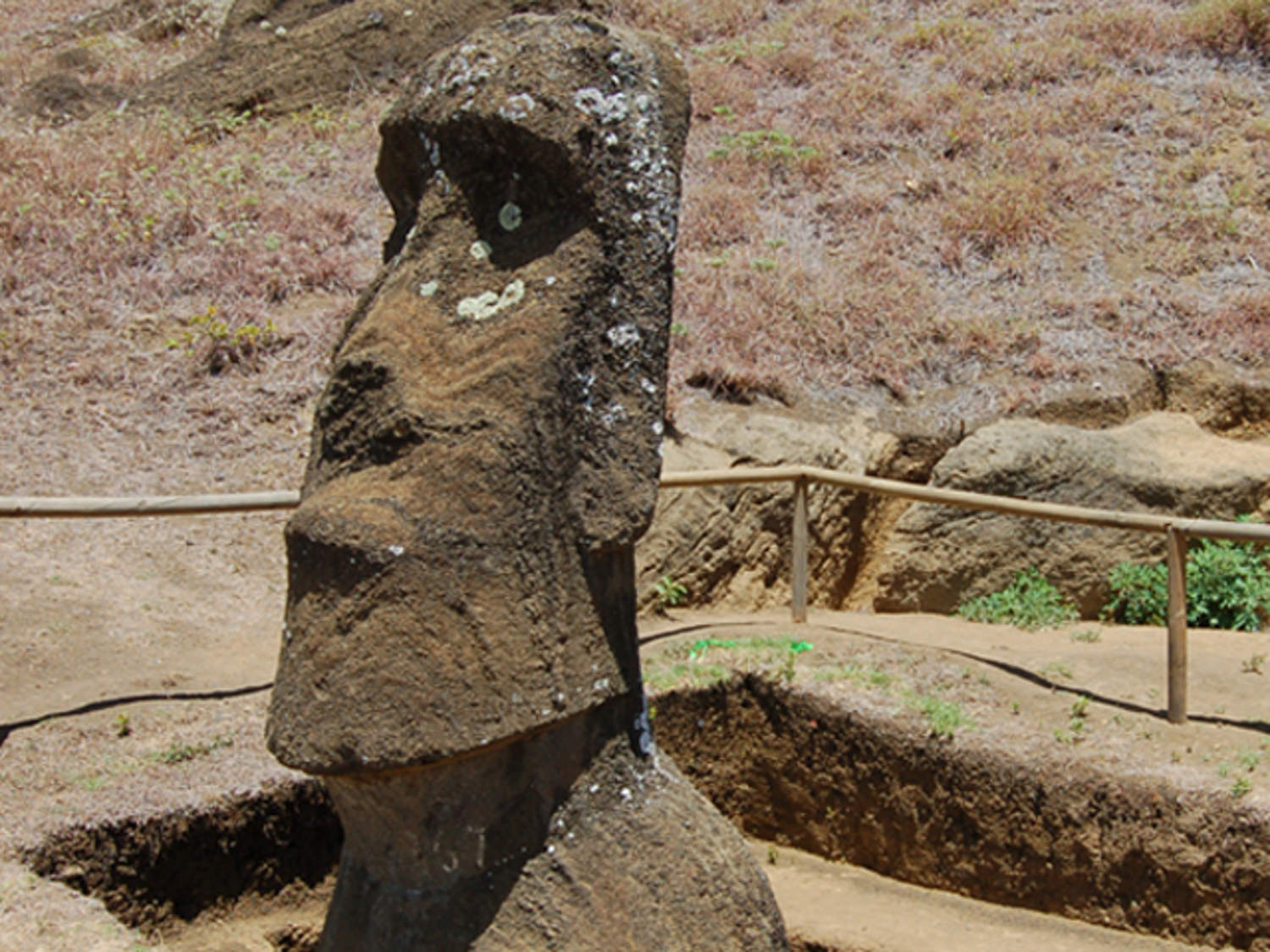 Mysterious Easter Island 'heads' have bodies too