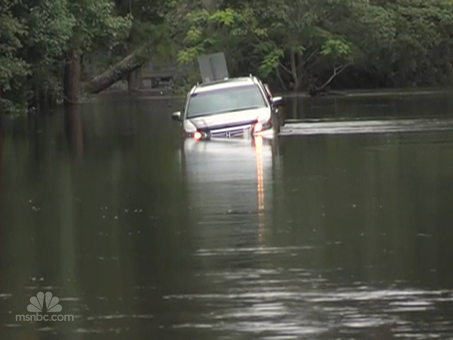 nn_03jca_debby_120627