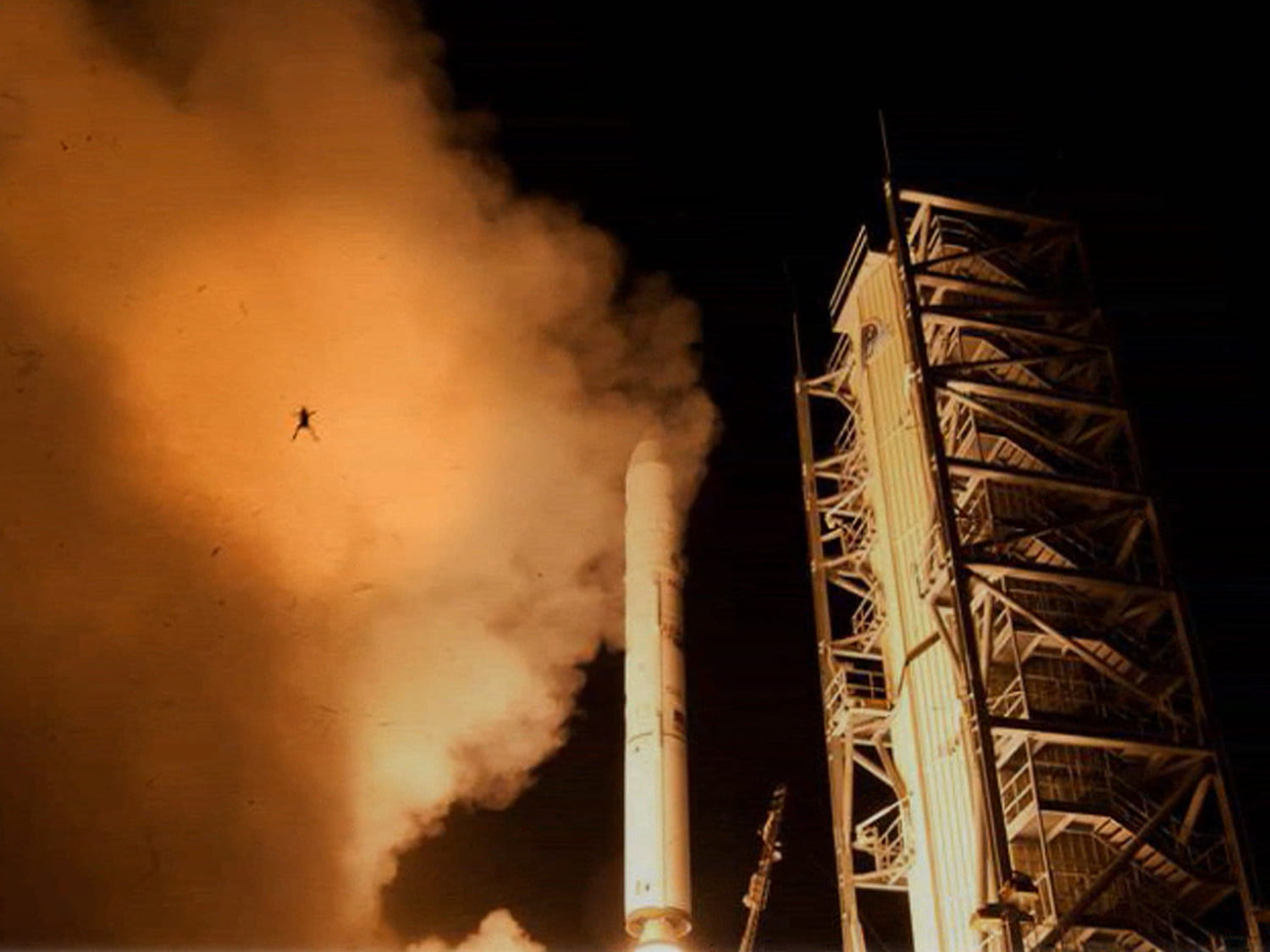 One giant leap: Photogenic frog photobombs NASA, image size:1500x1125