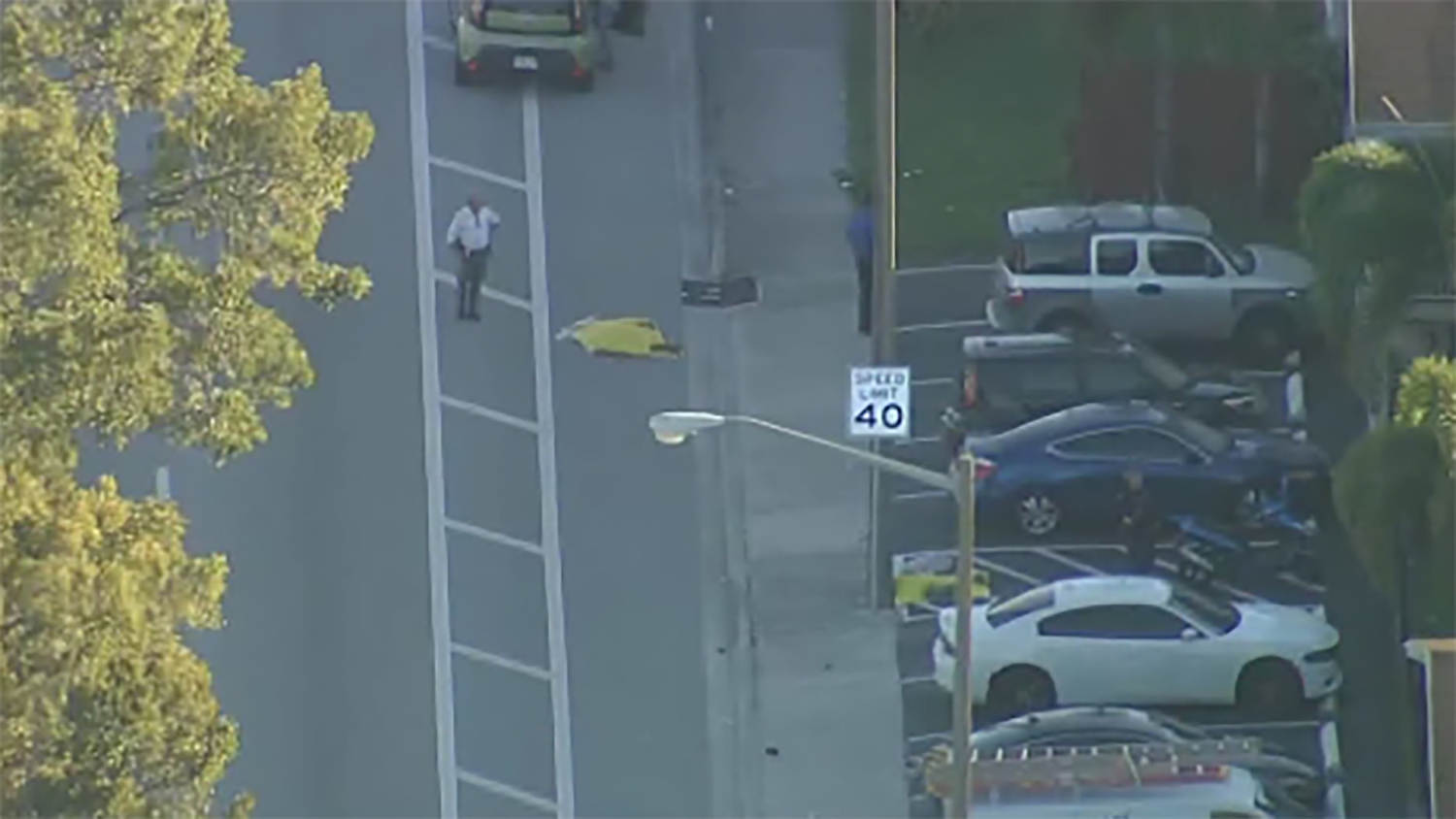 florida_hit_and_run-0zpspd.jpg