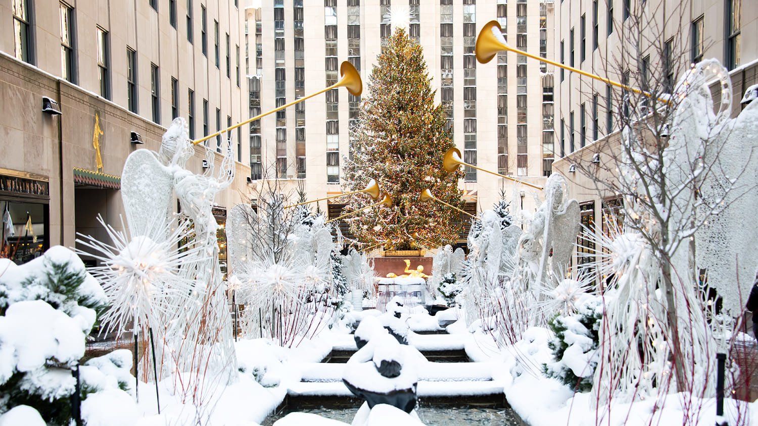 White Christmas Edwardsville Il 2022 Amc Snowy_Tree_2-Z0Egkw.jpg