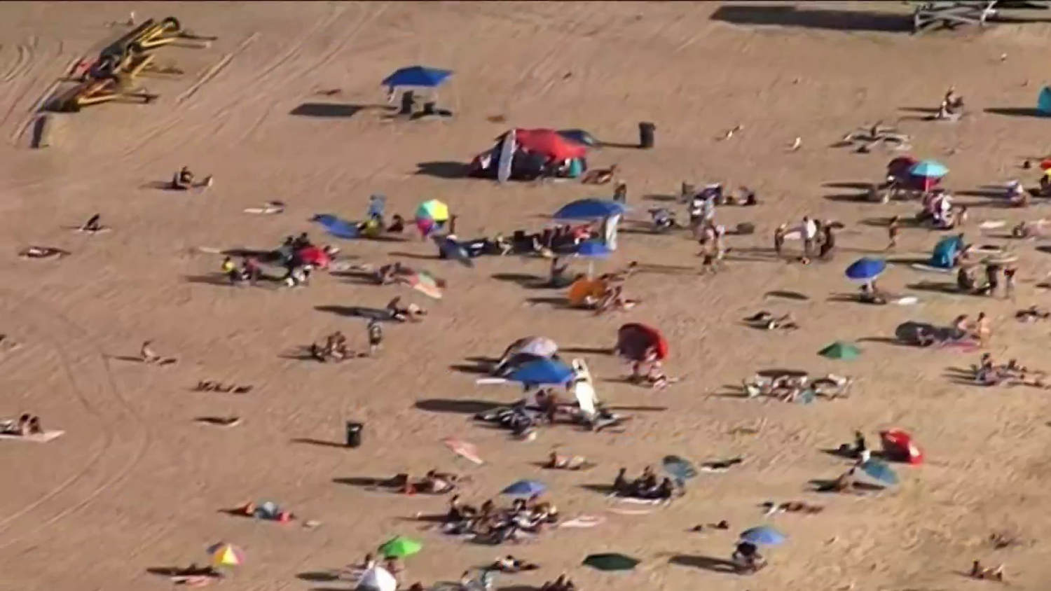 amateur beach pussy pics