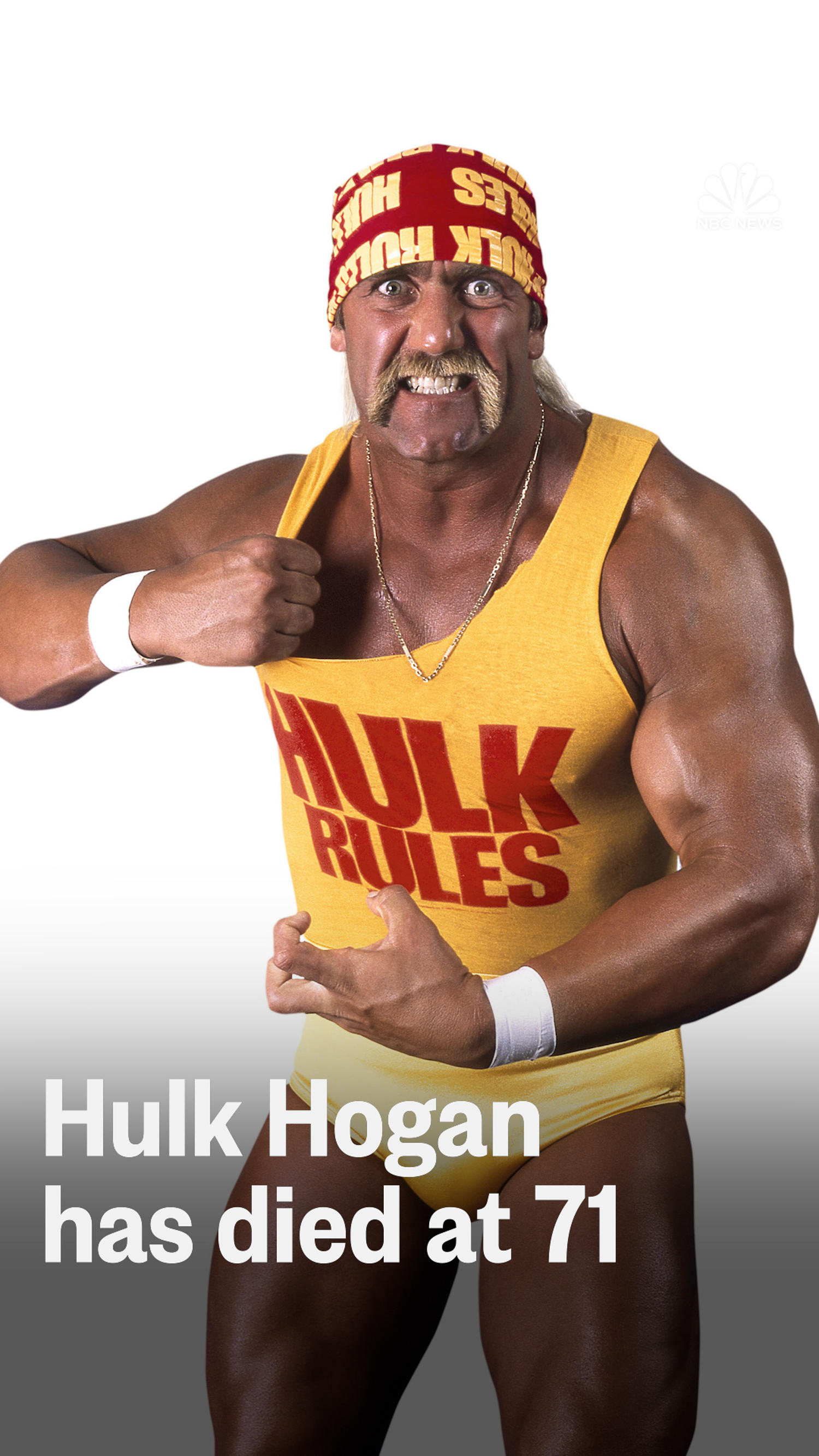 hoganobit-qdb5eh.jpg