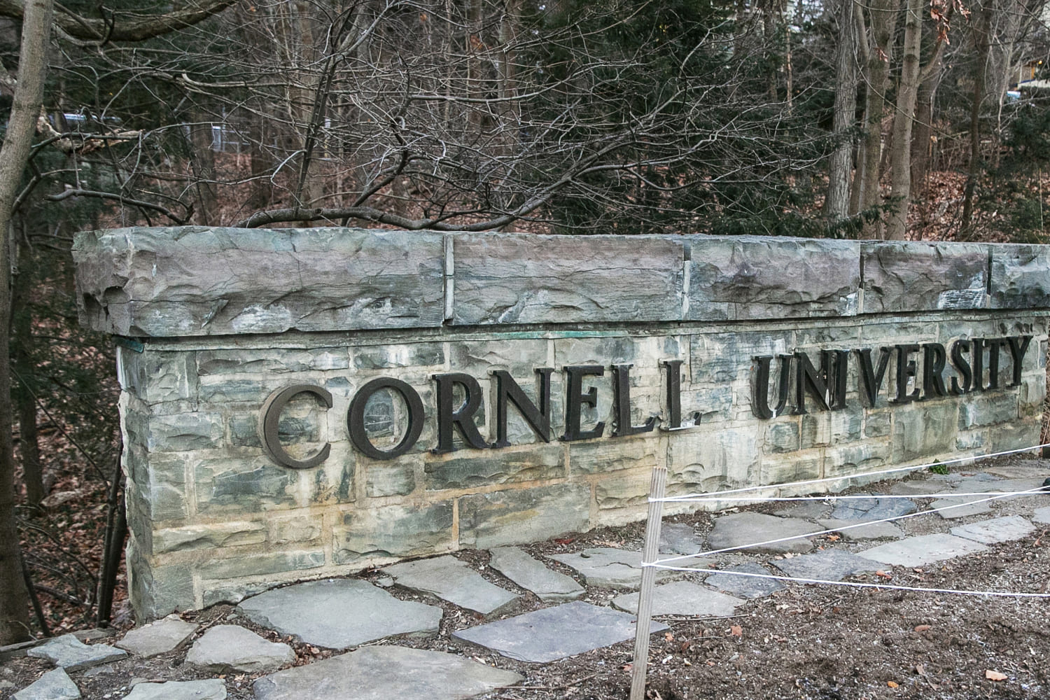 La gobernadora de Nueva York designa a Letitia James como fiscal especial en la denuncia de violación grupal en Cornell