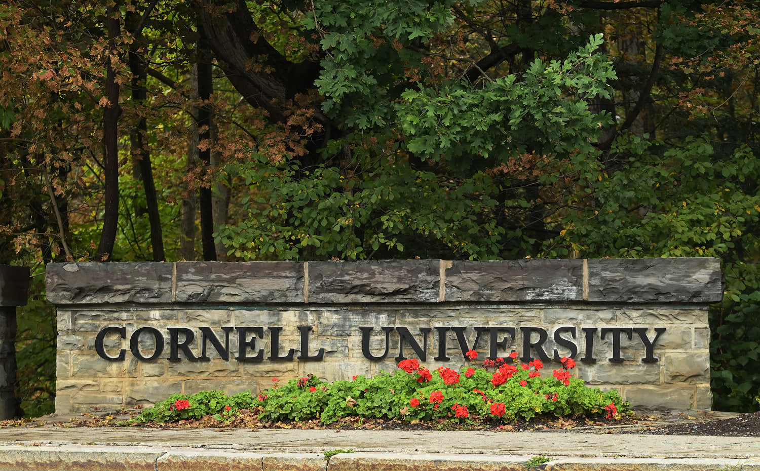 La Universidad de Cornell accede a una investigación independiente sobre la denuncia de una violación grupal