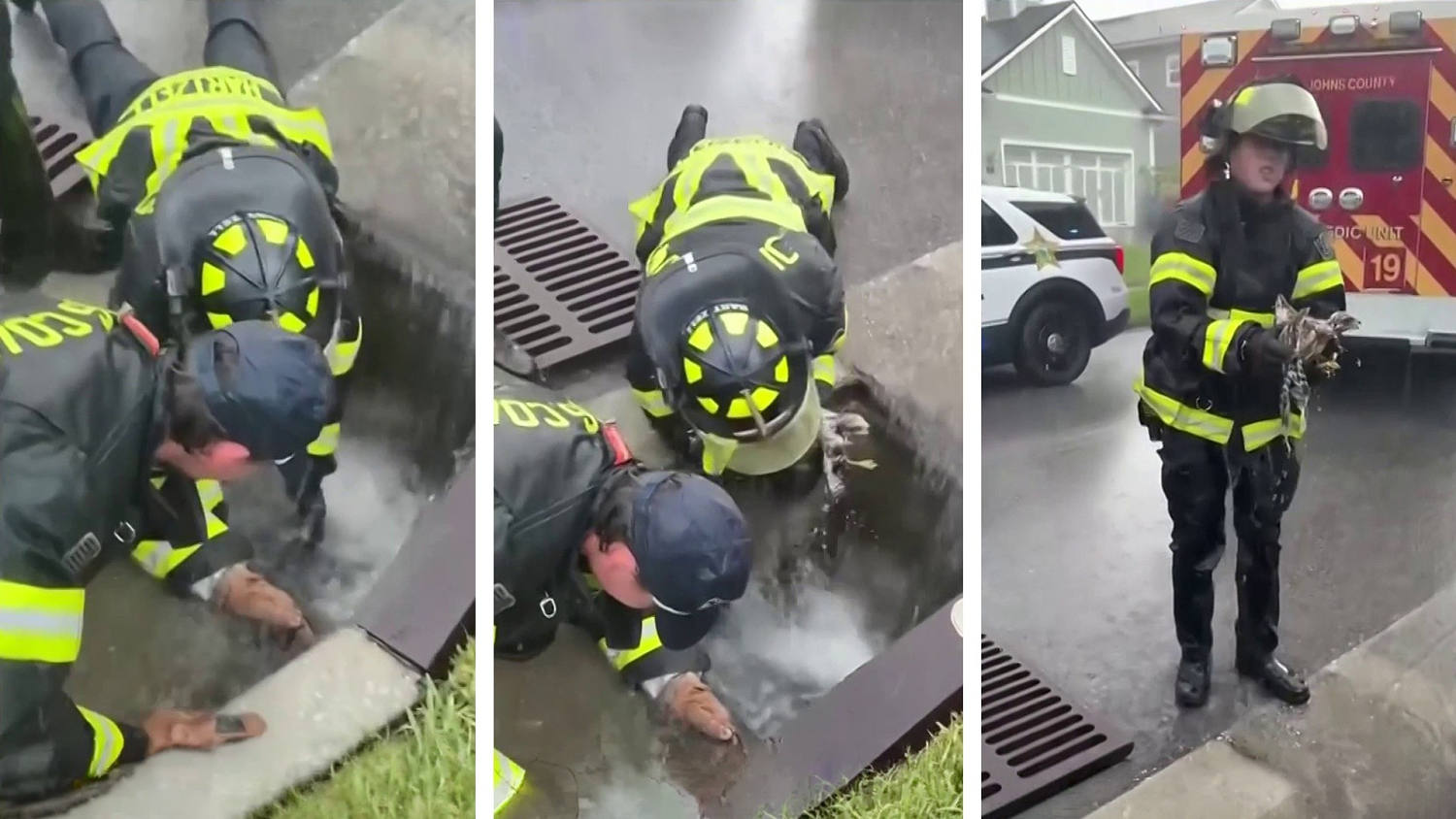 Así rescataron los bomberos a un halcón atrapado en un drenaje durante un fuerte aguacero en Florida
