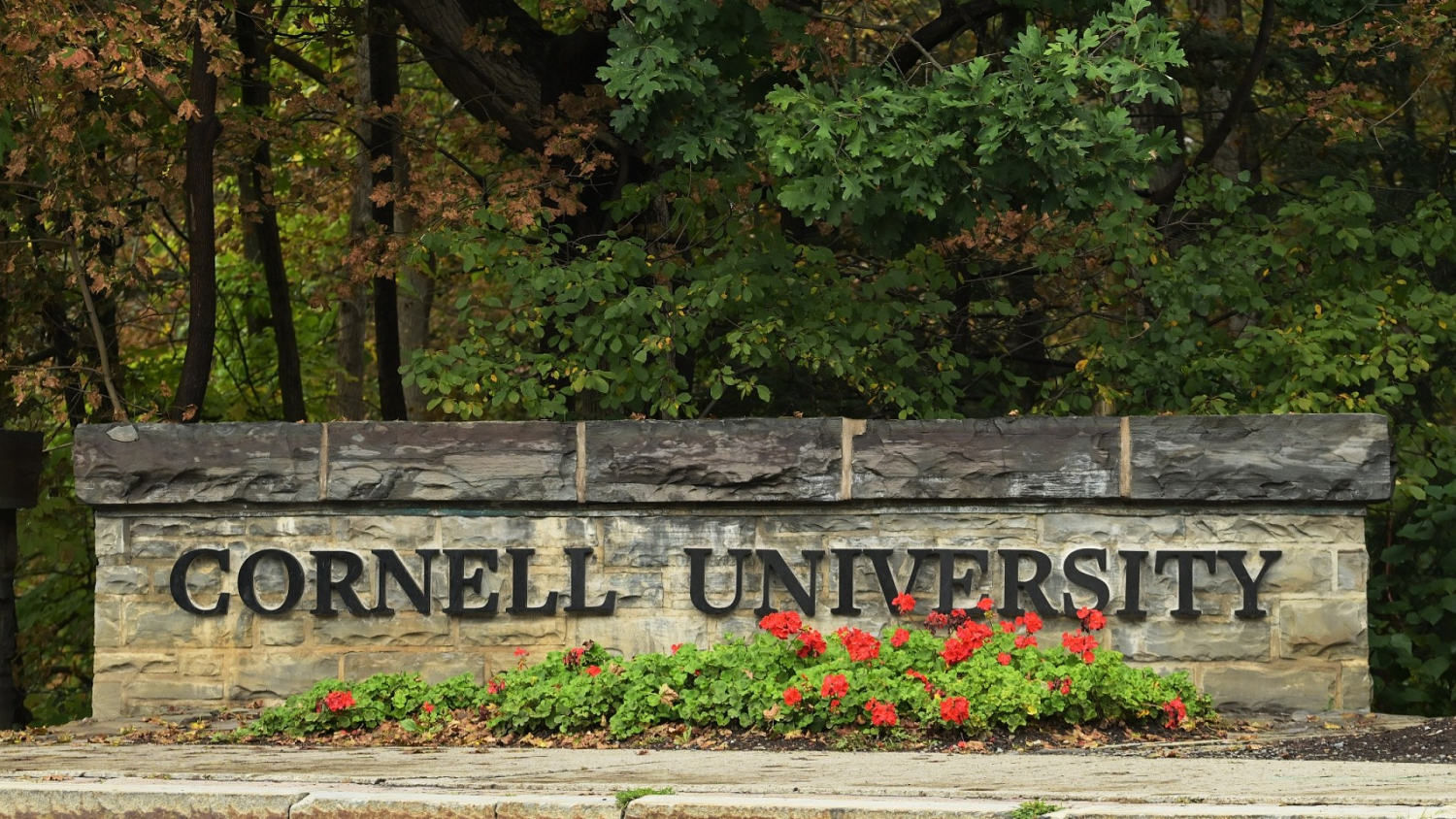 La Universidad de Cornell acepta una investigación independiente sobre una agresión sexual grupal
