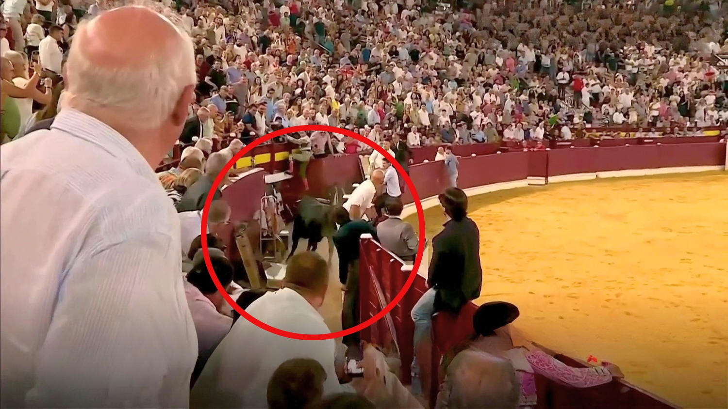 Vea cómo un toro saltó una barrera hacia las gradas en la Feria Taurina de Murcia, España