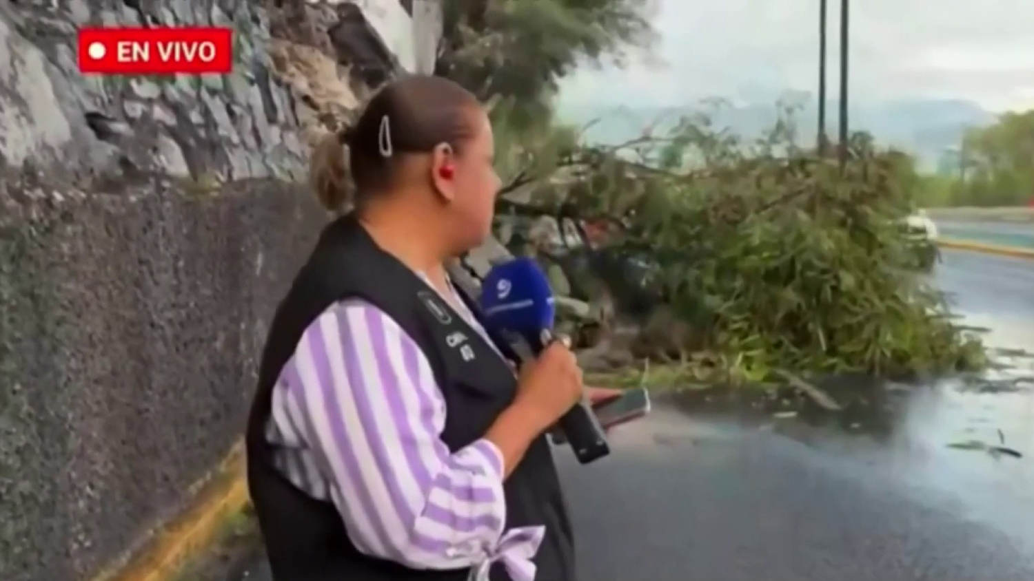 La reportera y el camarógrafo arrollados mientras transmitían en vivo están hospitalizados