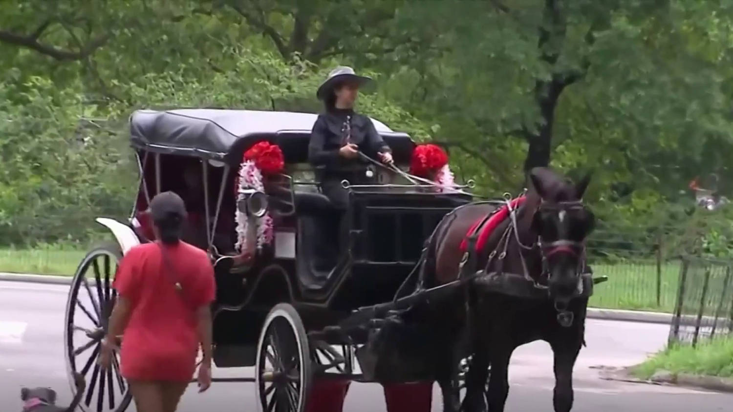 Nueva York alcanza un acuerdo para prohibir los polémicos carruajes tirados por caballos