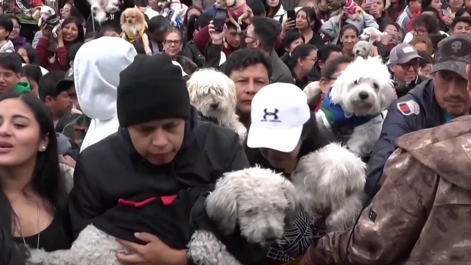 Cientos de familias de Ecuador llevan a sus mascotas a una tradicional bendición