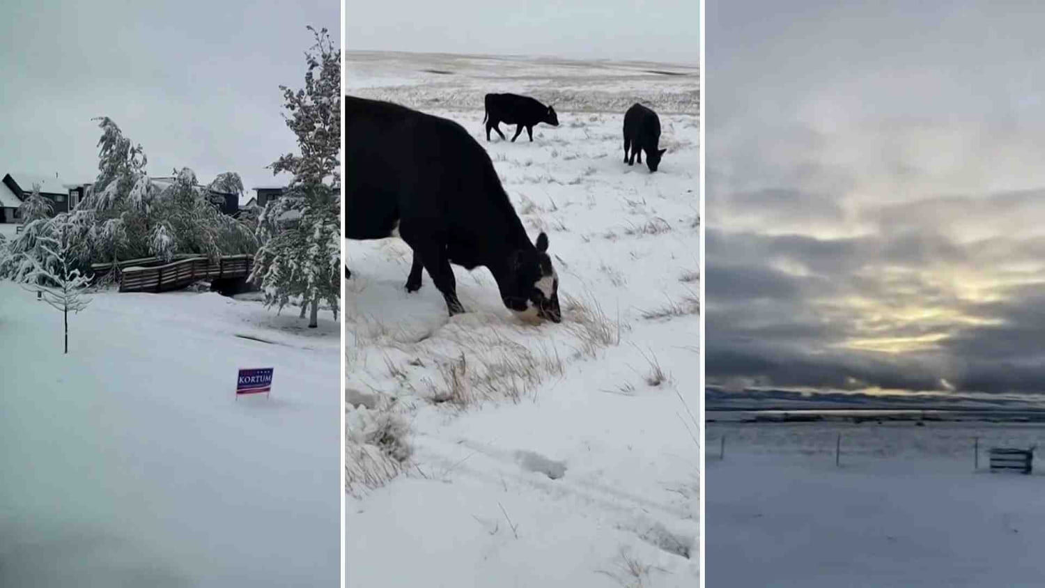 Las primeras nevadas importantes de la temporada cubren las zonas montañosas del oeste del país