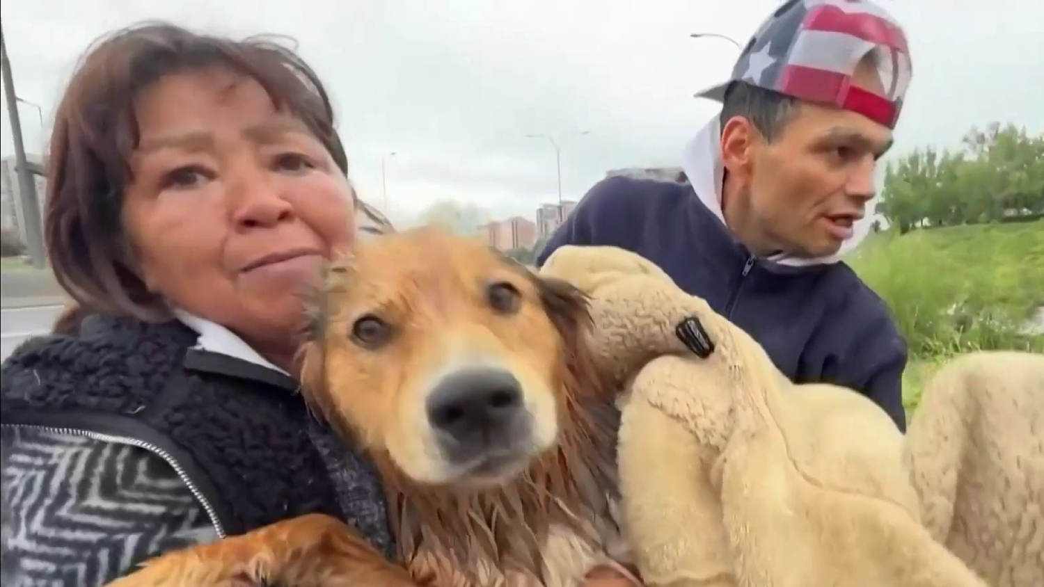 Vea cómo rescataron a un perro que era arrastrado por la corriente de un río en Chile