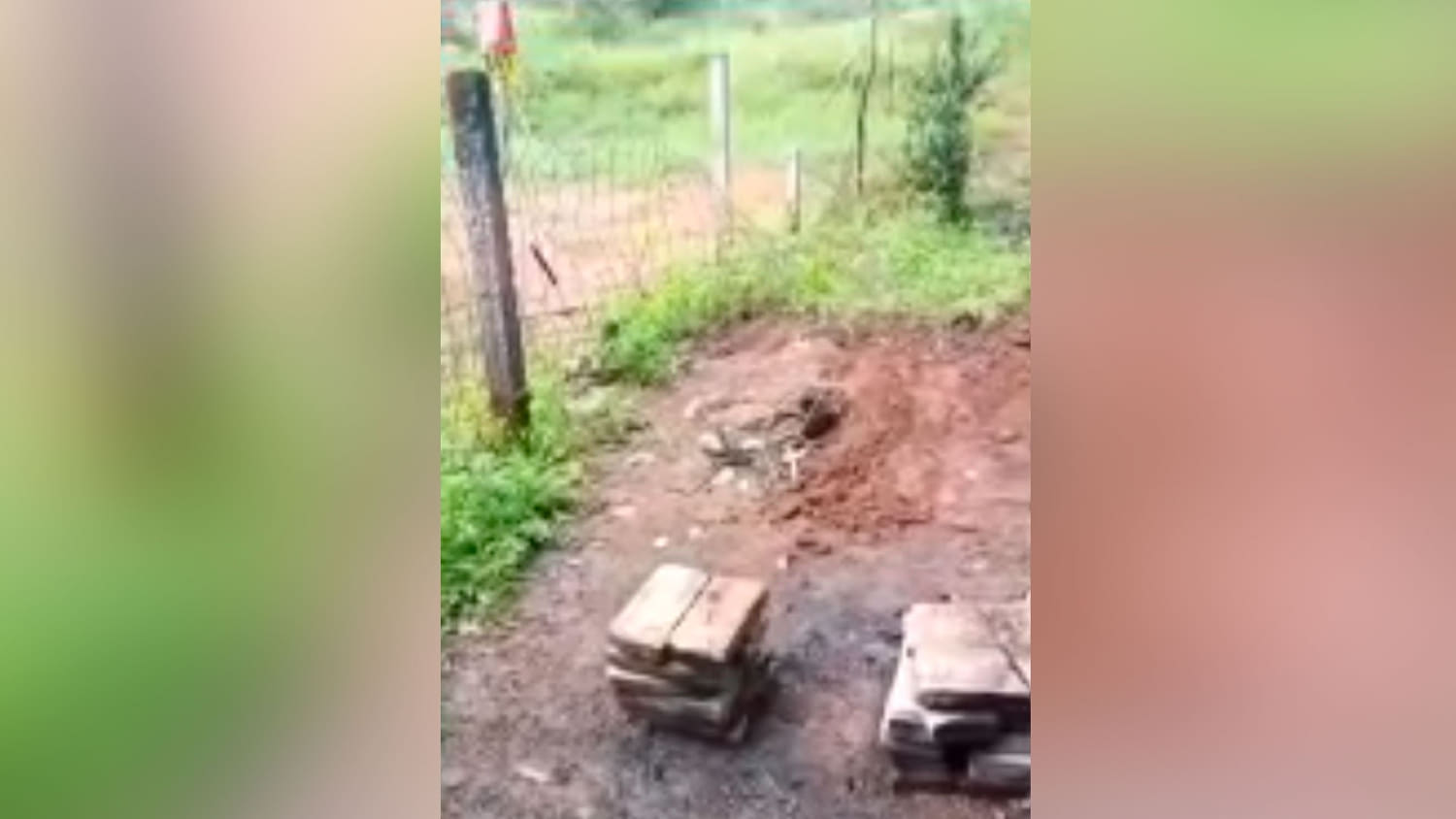 Encuentran otro crematorio clandestino y una fosa común en Nayarit