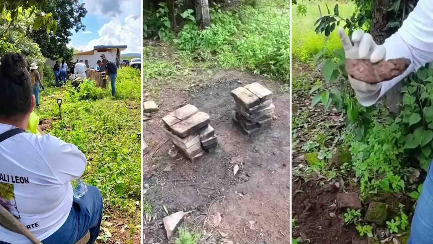 Buscadoras hallan restos en Nayarit en un sitio que las autoridades llaman “centro de exterminio”