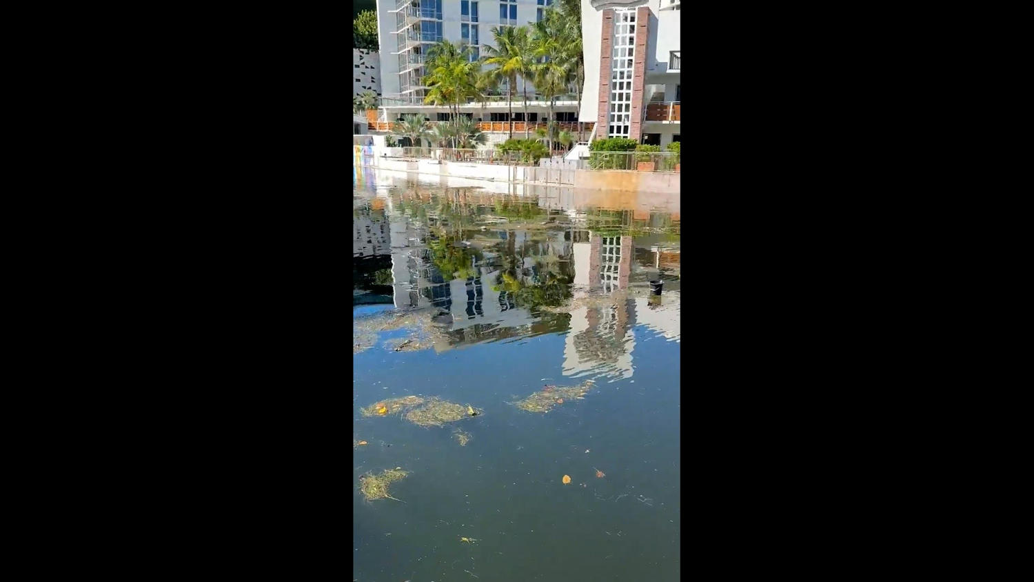 ¿Inundaciones sin lluvia? Así funcionan las ‘king tides’