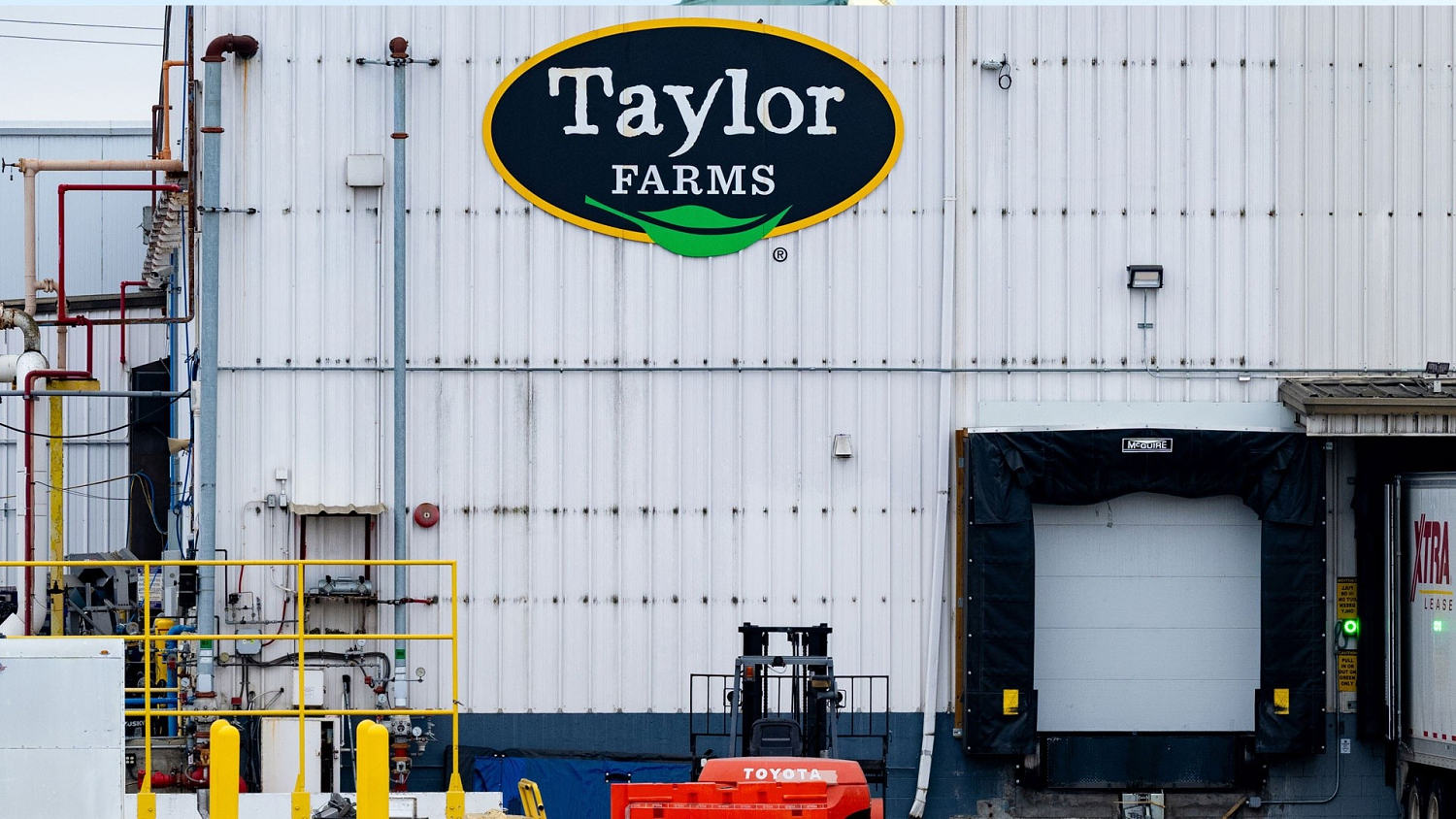 Taylor Farms suspende la recolección y procesamiento de lechuga iceberg proveniente de México
