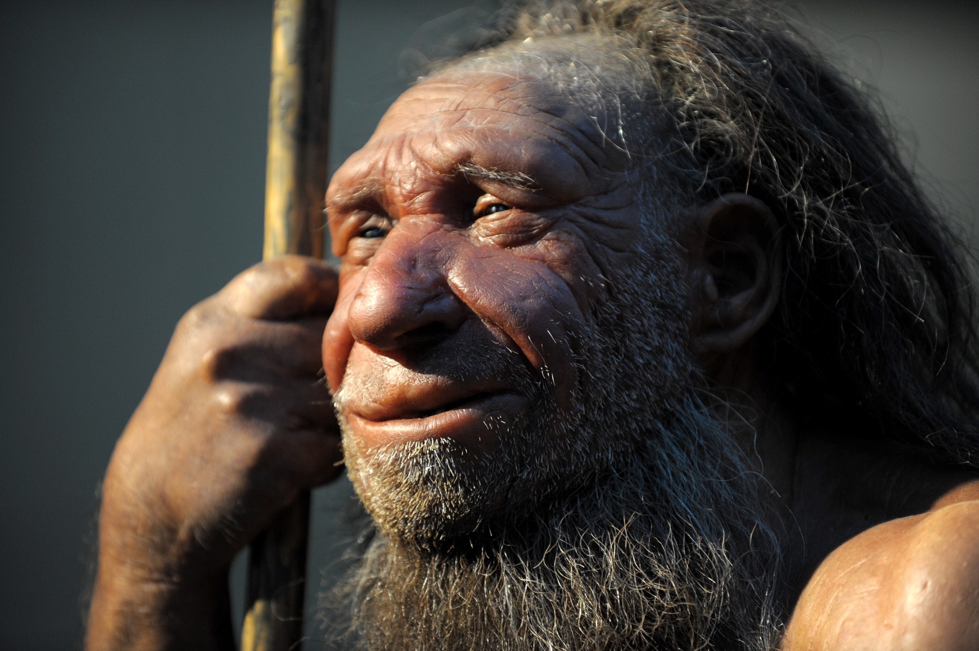 140625-neanderthal-poo-1634.jpg