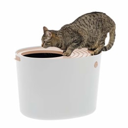 iris open top litter box