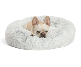 best value dog beds