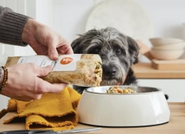 Direct to sale consumer dog food