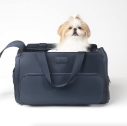 Best dog carrier outlet for car travel