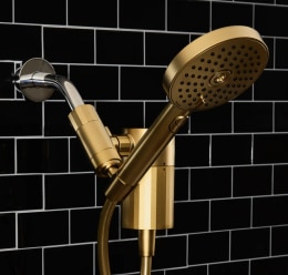 Gold Sproos! Hand Shower and Filter