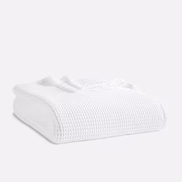 Deal of the Day