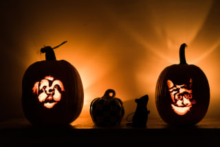 Ready Made Pumpkin Stencils