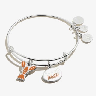 Friends 'You're My Lobster' Duo Charm Bangle