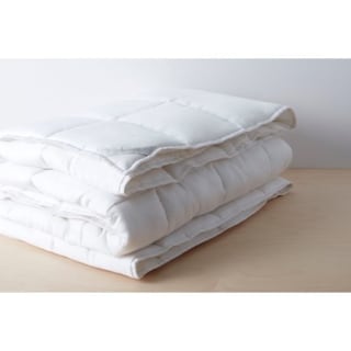 Allswell Year Round Queen Down Alt Duvet Insert