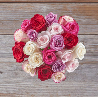 Valentine's Day Roses