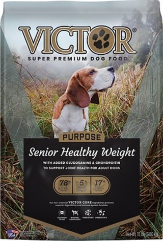 How to buy the best senior dog food according to veterinarians