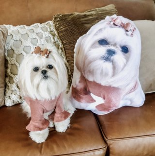 My Petsies Pet Shaped Pillow