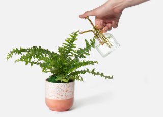 The Love Fern, New and Notable: New products from Athleta, Knix, Away and more