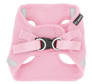 7 best dog harnesses to shop according to experts