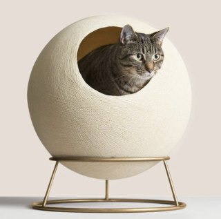 New and Notable: Latest from YETI, Everlane, Away and more