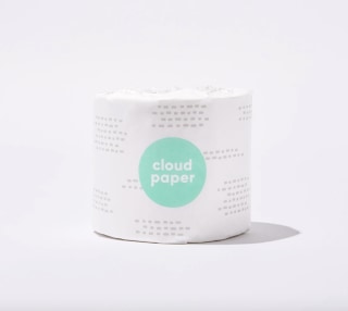 Cloud Paper-free Toilet Paper. Best sustainable bathroom products in 2021.