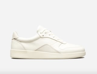 Everlane The Court Sneaker