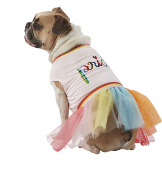Petsmart Pride Pink "Pride" Pet Dress