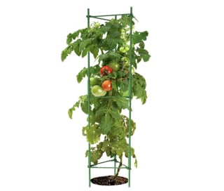 K-Brands Tomato Cage
