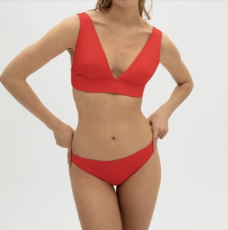 Everlane The Triangle Bikini Top