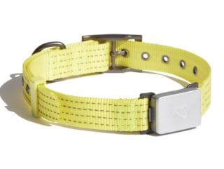 Whistle Switch smart collar