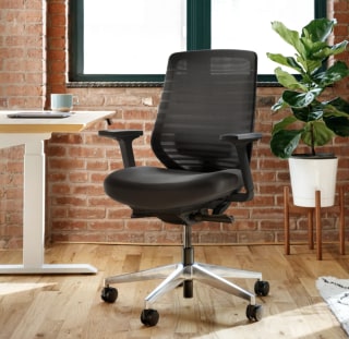 Branch Ergonomic Chair