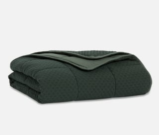 Weighted Throw Blanket
