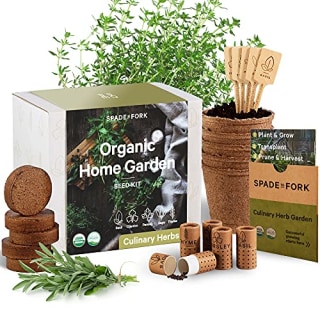 Indoor Herb Garden Starter Kit