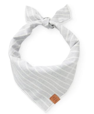 The Foggy Dog Bandana