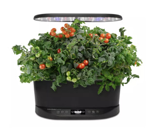 AeroGarden Bounty Basic