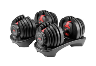 Bowflex SelectTech 552 Dumbbells