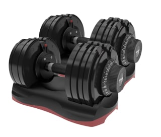 6 top rated adjustable dumbbells for home gyms for 2022